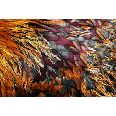 " Bright Brown Feather " by Pirotehnik