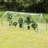 36.25' W x 107' D Hobby Greenhouse