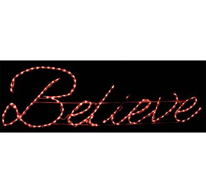 Believe Sign LED Lighted Display