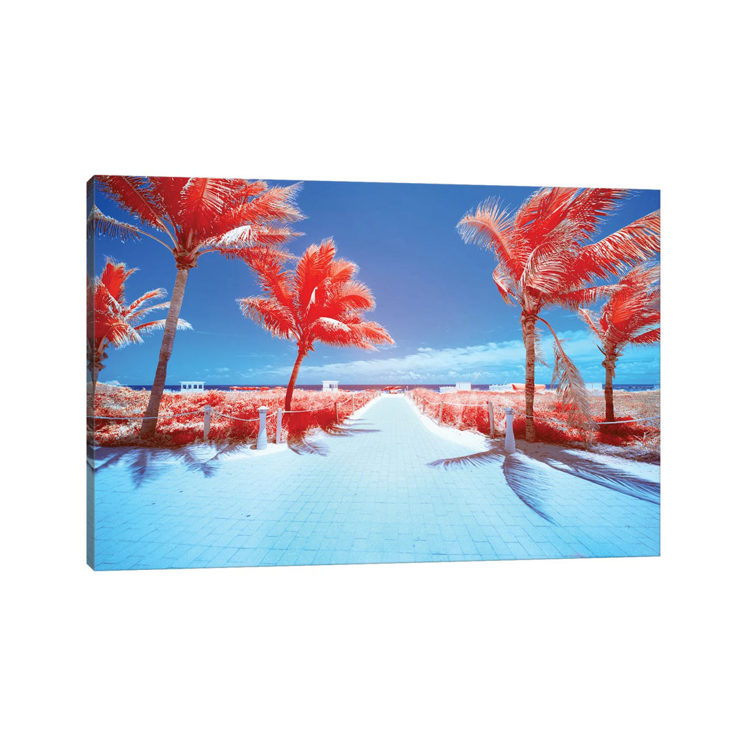 Palm Tree III by Glauco Meneghelli - Wrapped Canvas Gallery-Wrapped Canvas Giclée