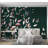 Botanical Wallpaper Wall Mural - Abstract Flowering Vine-1588263893