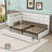 Two Drawers Upholstered Daybed with Charging Station, LED Lights and Storage Headboard-415063249