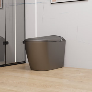 Toilette intelligente Starry Night Light avec bidet intégré, conception de salle de bain moderne, siège à ouverture / fermeture automatique, capteur de pied, affichage à DEL, veilleuse, eau chaude et sécheuse