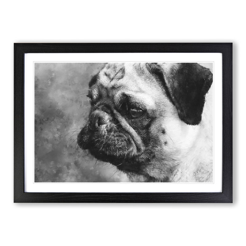 Pug Dog - Framed Print, 48cm H x 65cm W x 2cm D, Black Framed