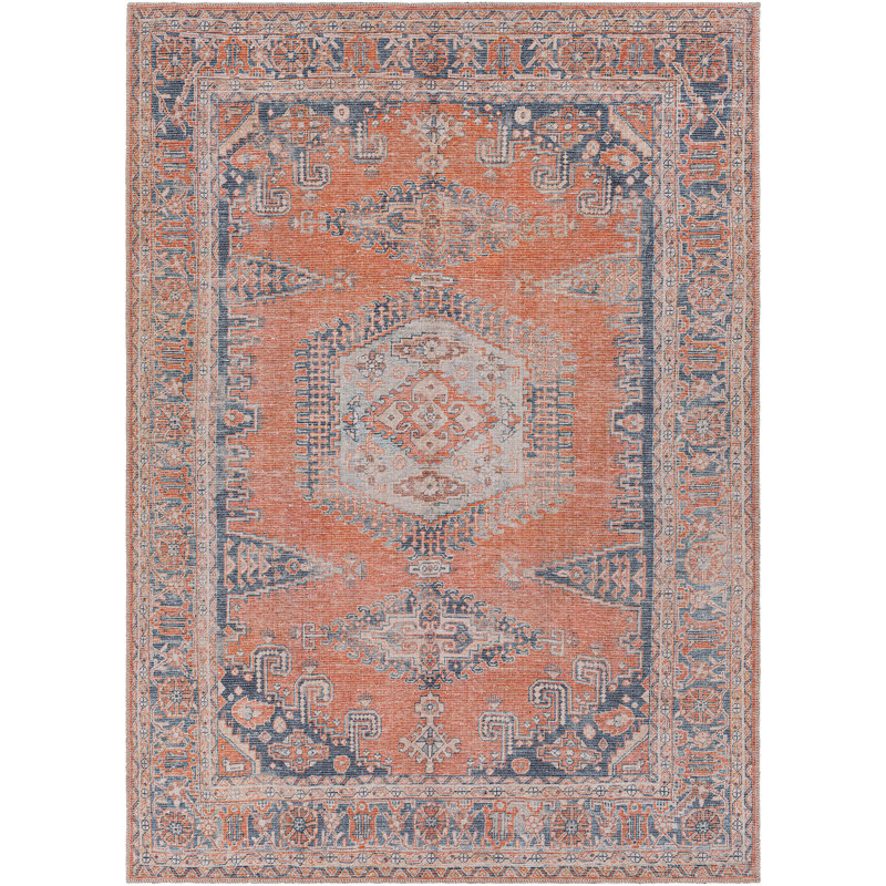 Colin Machine Washable Traditionnal Boho Area Rug, Rectangle 160 x 220cm