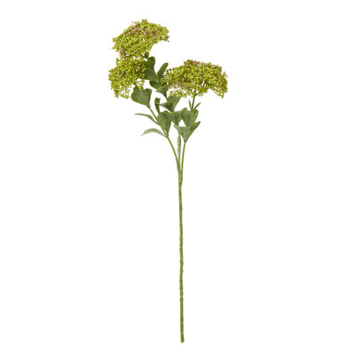 Arrangement
