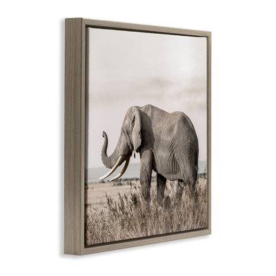 Éléphant serein dans la nature