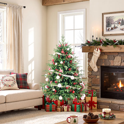 Fir Christmas Tree