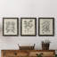 Antique Black and White Botanical VII - Ensemble de 3 reproductions d'art sur toile-282180060-282180056