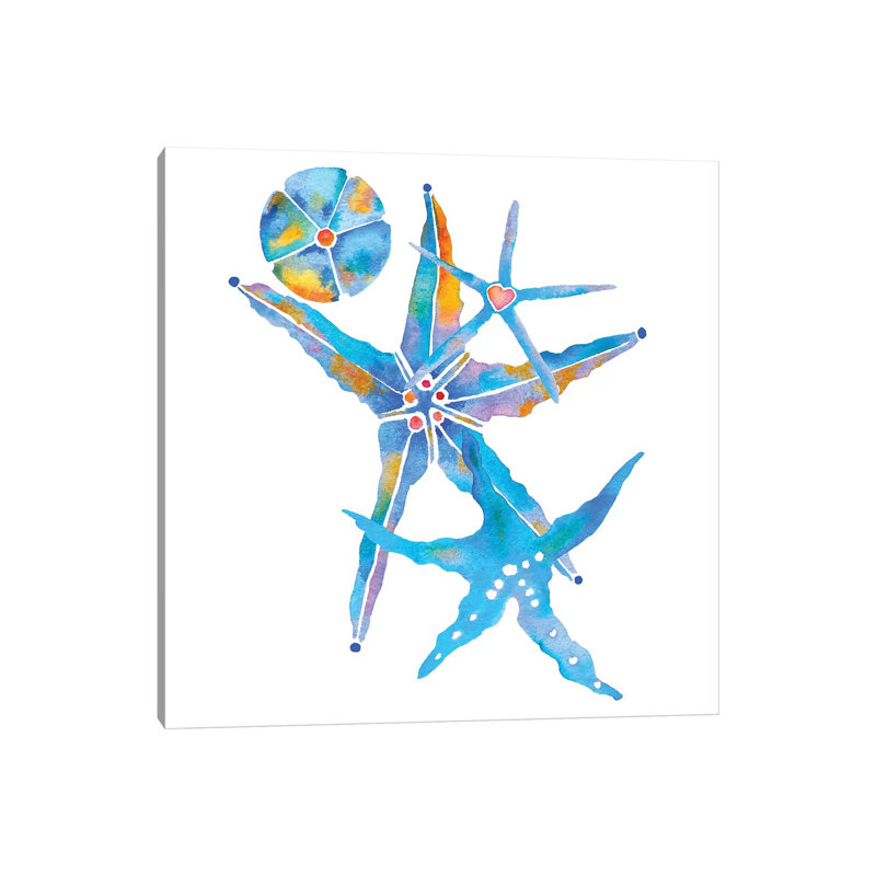 Three Starfish And A Sand Dollar by Jo Lynch - Wrapped Canvas Gallery-Wrapped Canvas Giclée, 66.04cm H x 66.04cm W