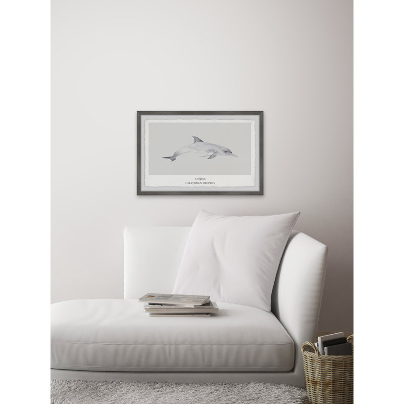 Delphinus Delphis 1 Piece Single Picture Frame Wall Art, 20cm H x 30cm W x 3.81cm D
