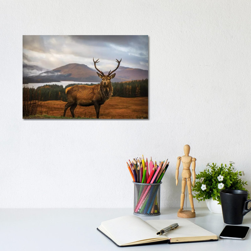 Scottish Stag by Adrian Popan - Wrapped Canvas Gallery-Wrapped Canvas Giclée, 20.32 cm H x 30.48 cm W