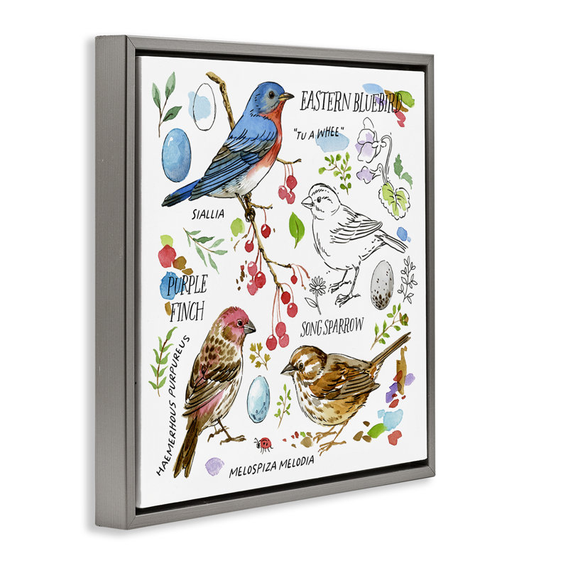 "Woodland Birds", art mural encadré flottant par Jane Maday, H 25 po x l 25 po, Cadre flottant gris lustré