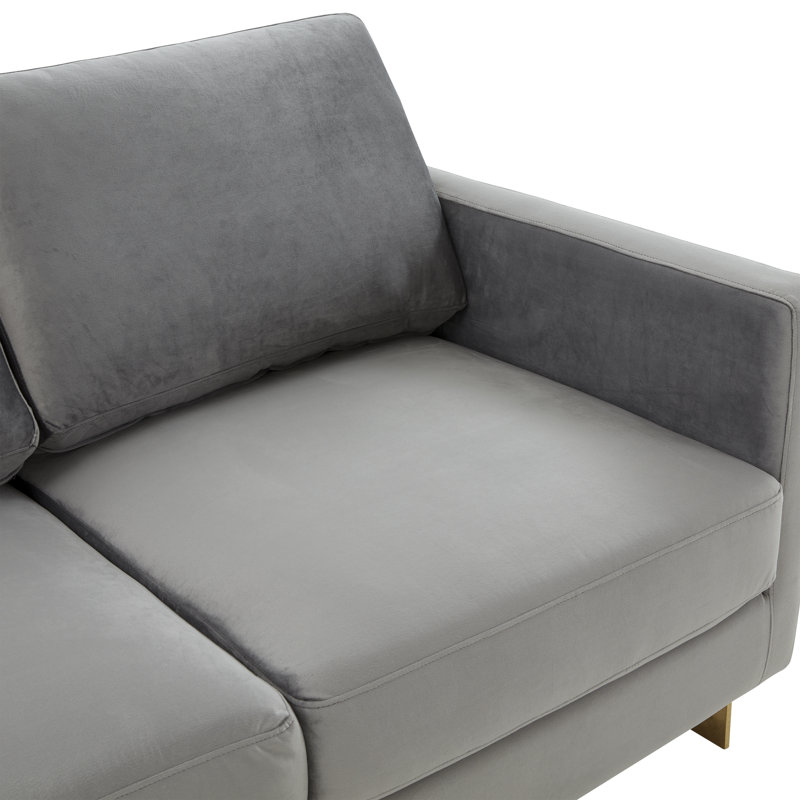 Bellago 55" Pre-Assembled Upholstered Velvet Loveseat with Modern Gold Frame, Light Gray Velvet