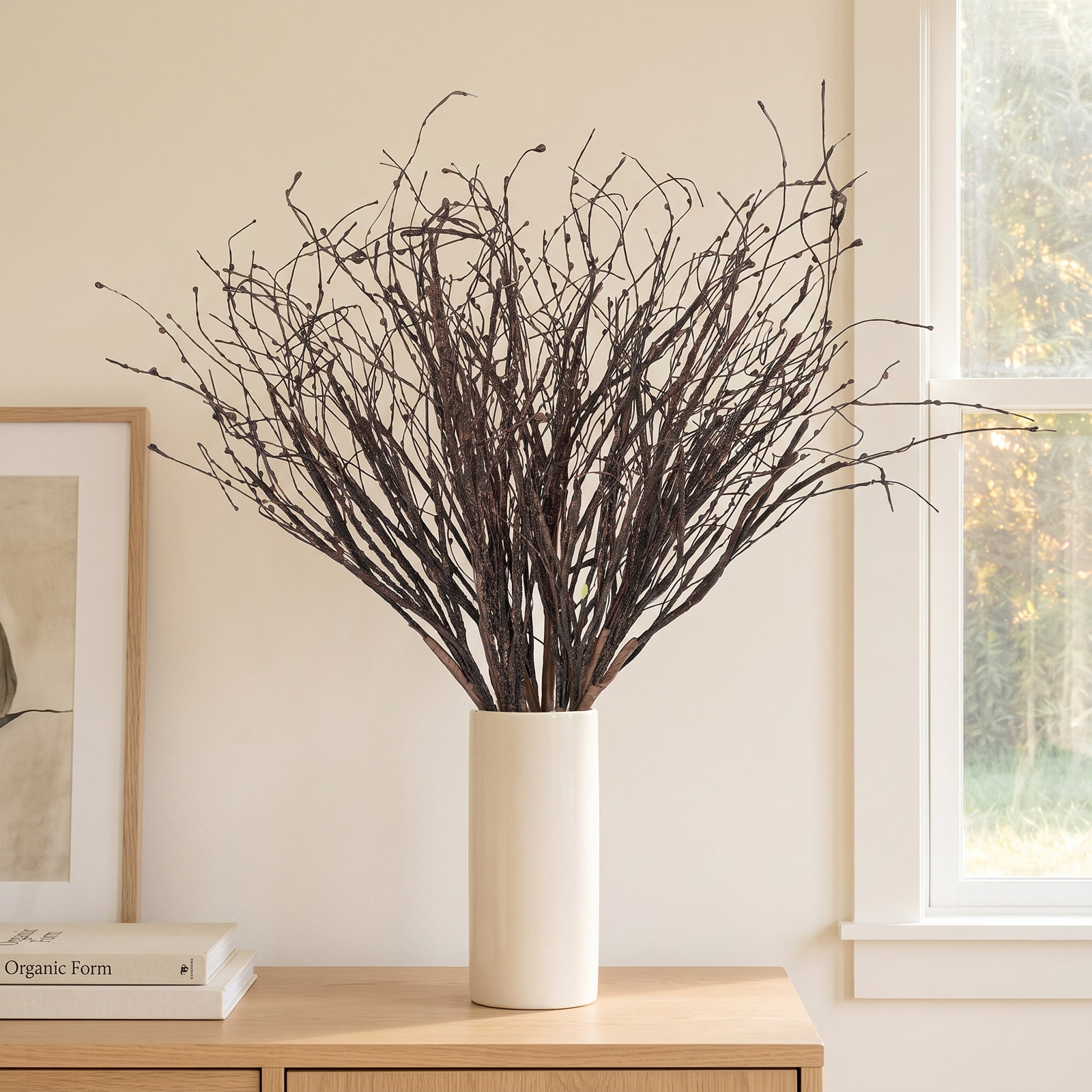 Birch Twig Stems