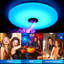 1-Light Flush Mount
