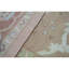 Cotton Oriental Area Rug in Rust
