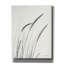  «Field Grasses III» par Debra Van Swearingen, art mural sur toile, 26 po x 34 po-1184631956
