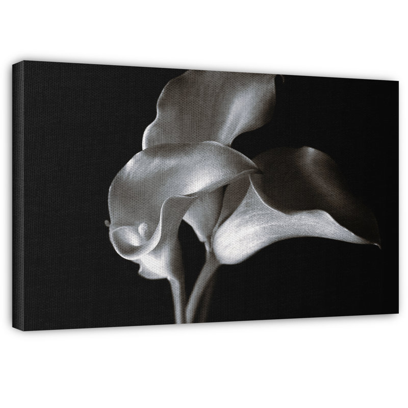 « calla cluster », reproduction d’impression sur toile tendue, H 16 po x l 20 po x P 1,5 po