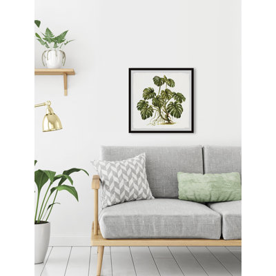 Exotic Palms - reproduction de cadre photo