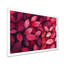 Jaceyon - Floral Large Wall Art-1948146437-2059290292-2059290316