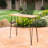 Loya Rectangular Acacia Wood Outdoor Bar Table