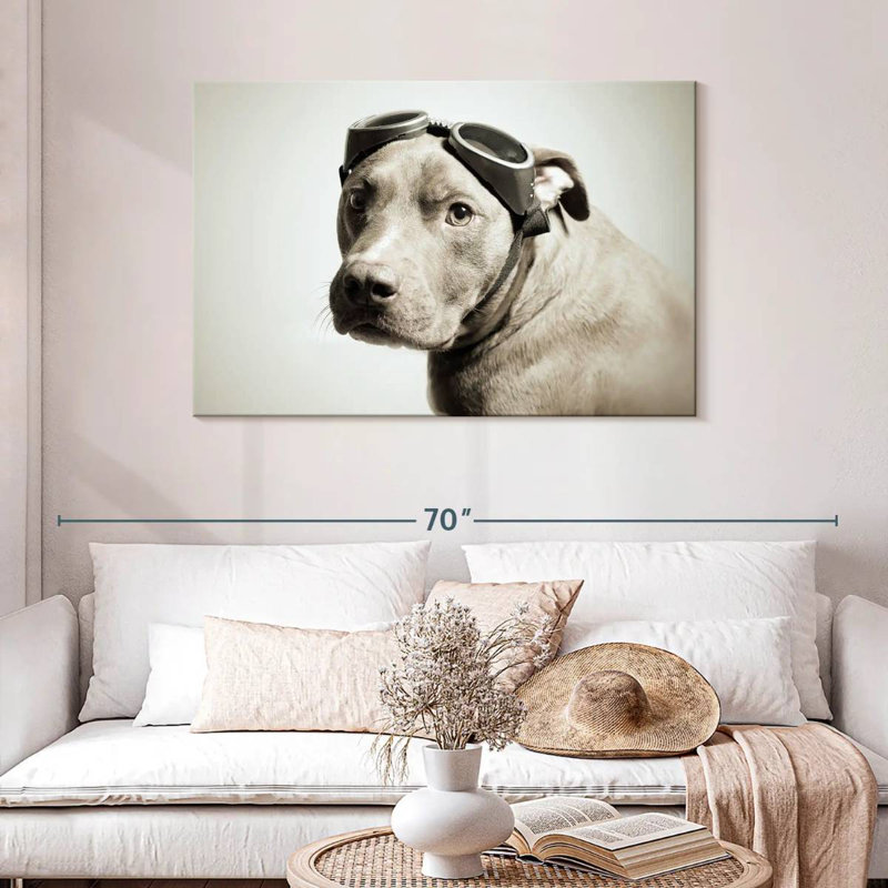 Brampt Aviator Pit Bull, 30" H x 45" W