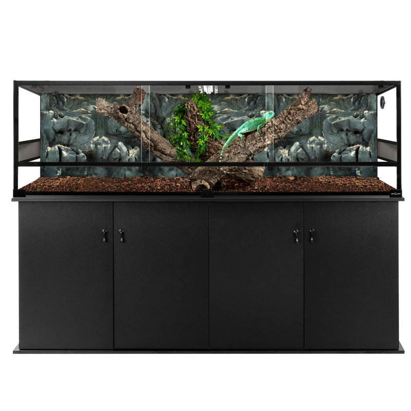 Ensemble de démarrage pour reptiles 72 po x 24 po x 54 po