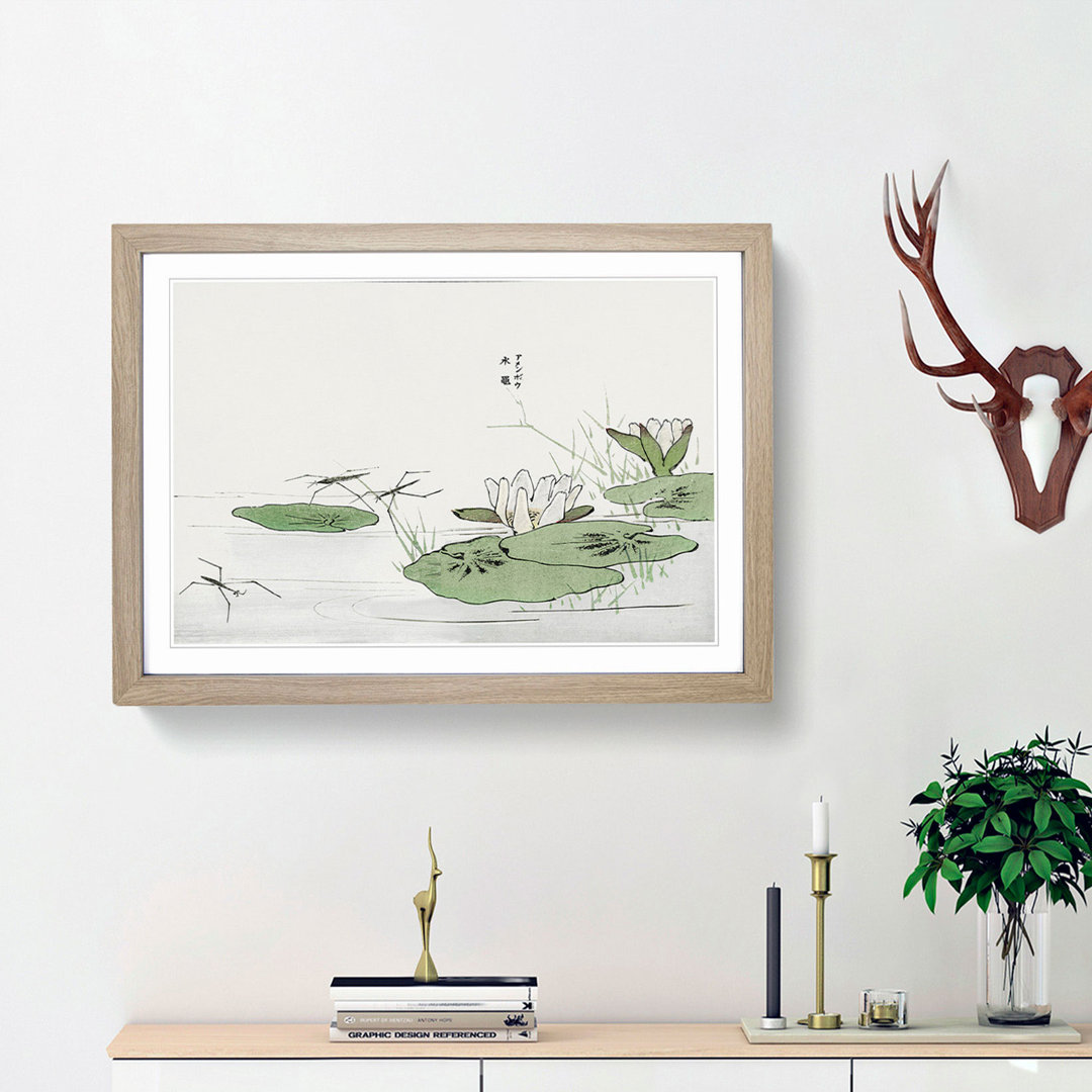 Lily Pond Flowers by Morimoto Toko - Picture Frame Painting Print