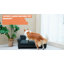 Tornillo Leather Pet Bed-301775331
