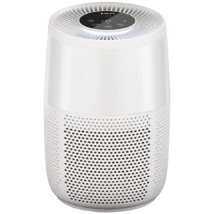 Instant Air Purifier with True HEPA