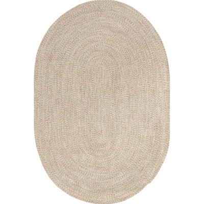 Owensby Braided Tan Indoor/Outdoor Rug