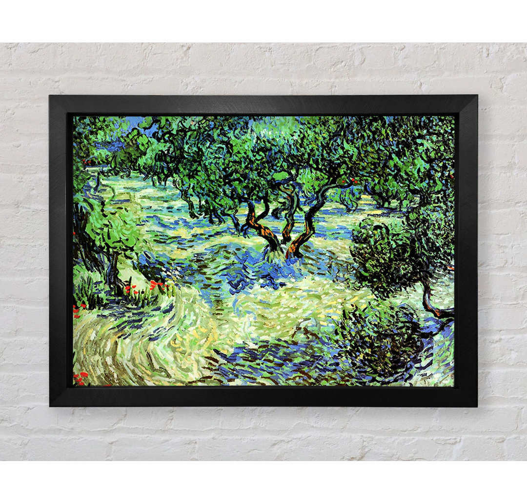 Van Gogh Olivenhain 2 von Vincent Van Gogh - Einzelner Bilderrahmen Kunstdrucke