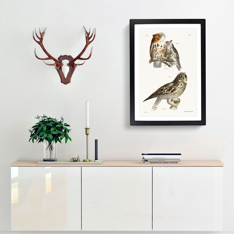 Owls by J.E. De Kay - Framed Print, 36cm H x 27cm W x 2cm D, Black Framed