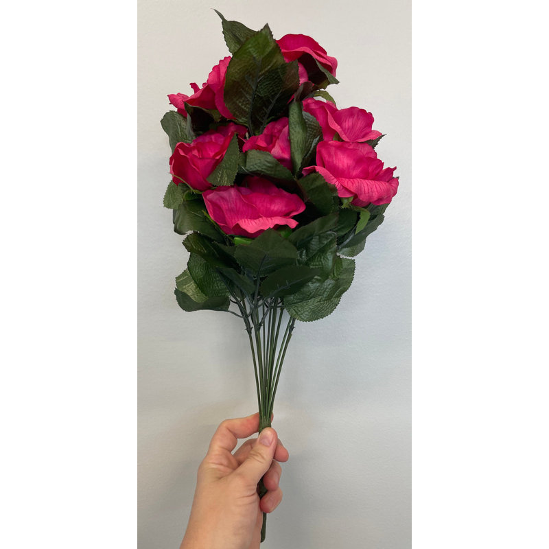 Rose ouvert MP