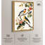 «Colorful Perch Canvas Natures» par -2097622951-2097622973