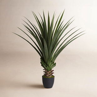 48'' Faux Agave Succulent in Pot
