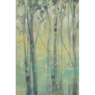 La lumière dans les arbres I
