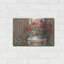 «Geraniums On Chair» par Carol Rowan-2011965638