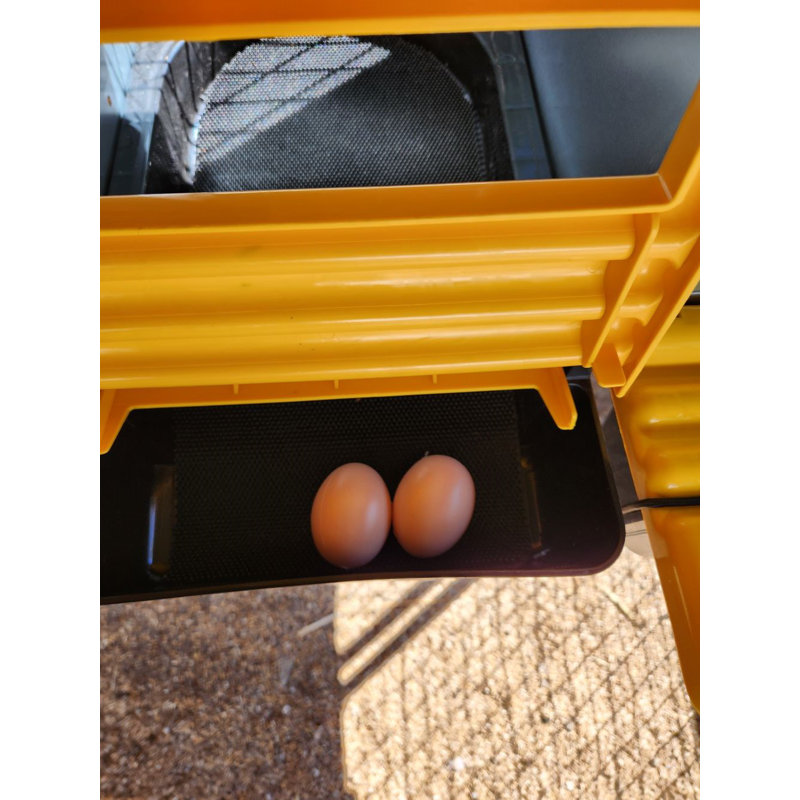 Tucker Murphy Pet™ Roll Back 2 Hole Nesting Box