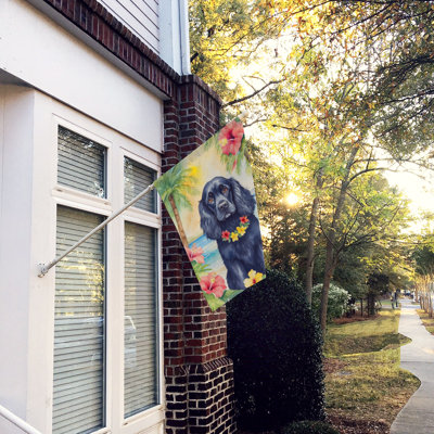 Drapeau pour animal à double face H 40 po x l 28 po