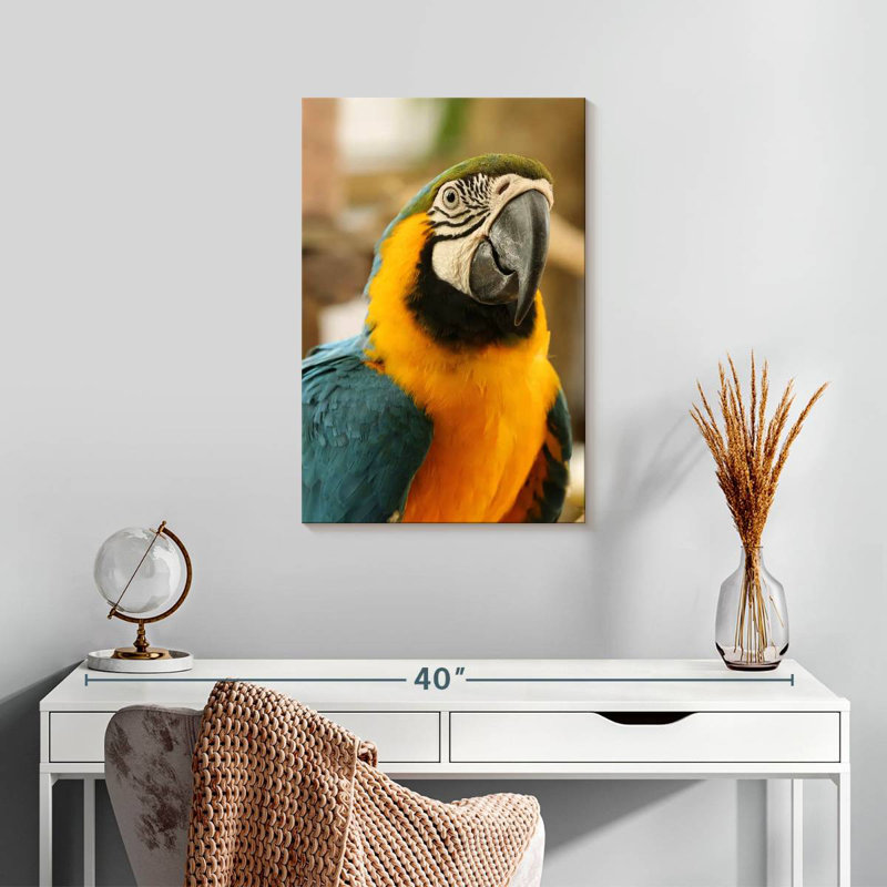 Brampt Exotic Macaw, 24" H x 16" W