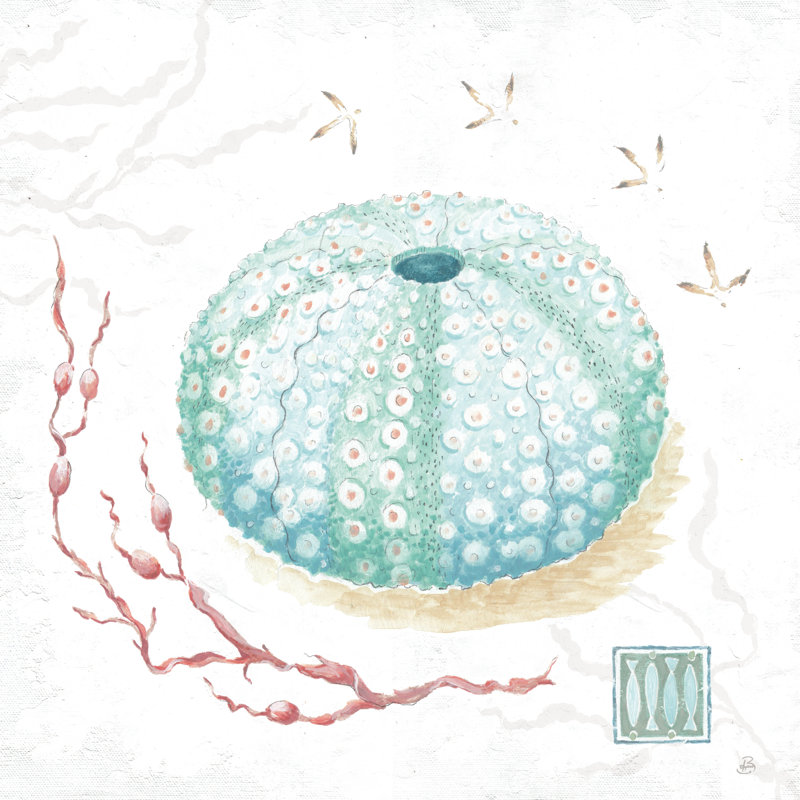 Delicate Sea VII - Wrapped Canvas Print, 76cm H x 76cm W 
