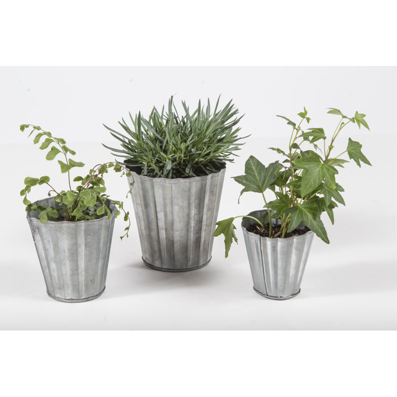 Clintwood Metal Pot Planter