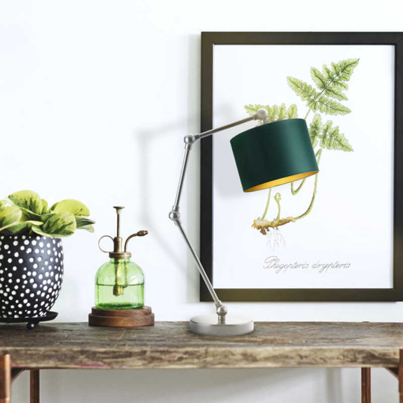 Asmara Adjustable Metal Desk Lamp, Bottle Green, Silver