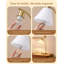 Arched-38400316