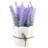 7.48'' Faux Herbs Plant in Ceramic Pot