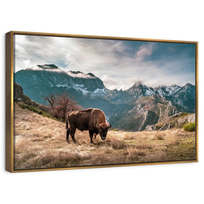 Bison Mountain Landscape
