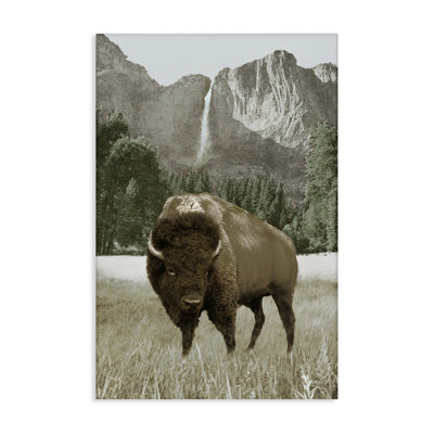 «Bison & Mountain Landscape» par Dan Meneely