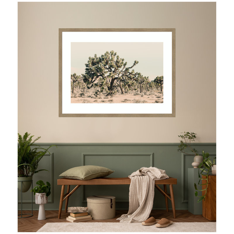 «Joshua Tree No. 1» par Alicia Bock, reproduction d'art encadrée